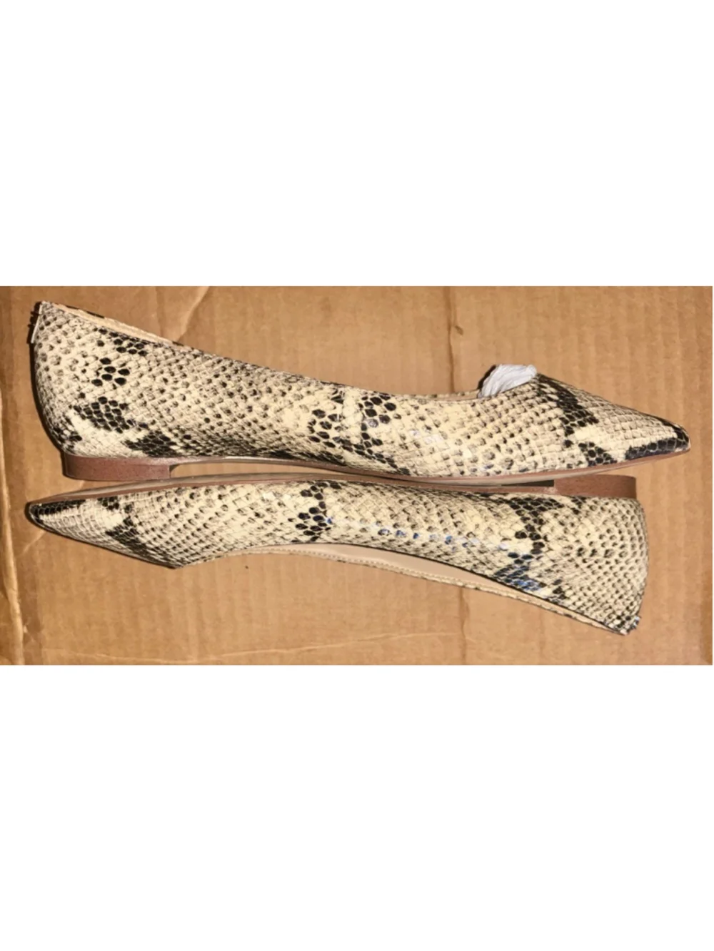 Sam Edelman chic pointed